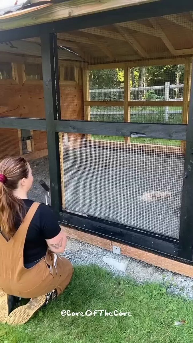 The near invisible effect of chicken wire painted black