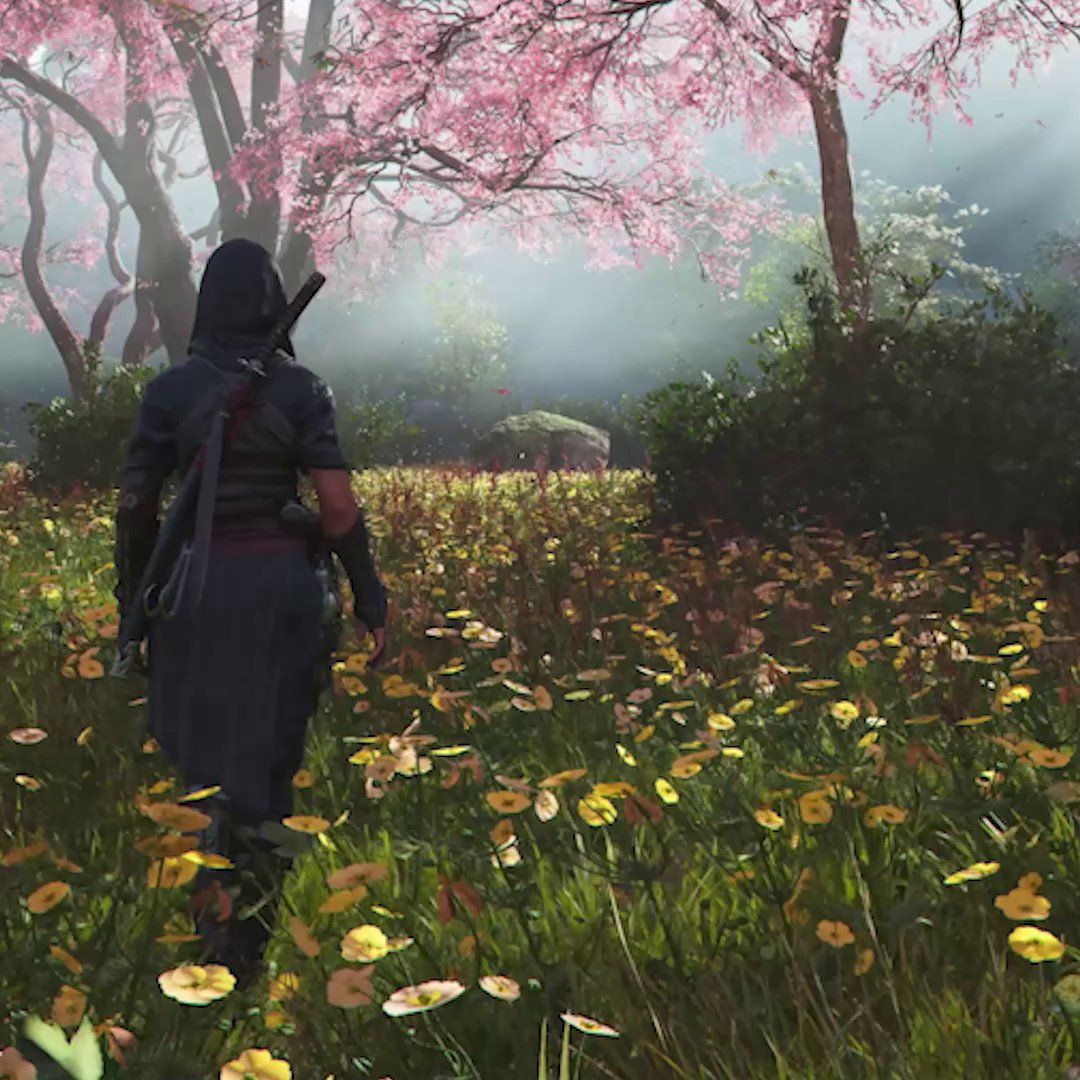 Taking a walk, enjoying the view 🌸 #AssassinsCreedShadows