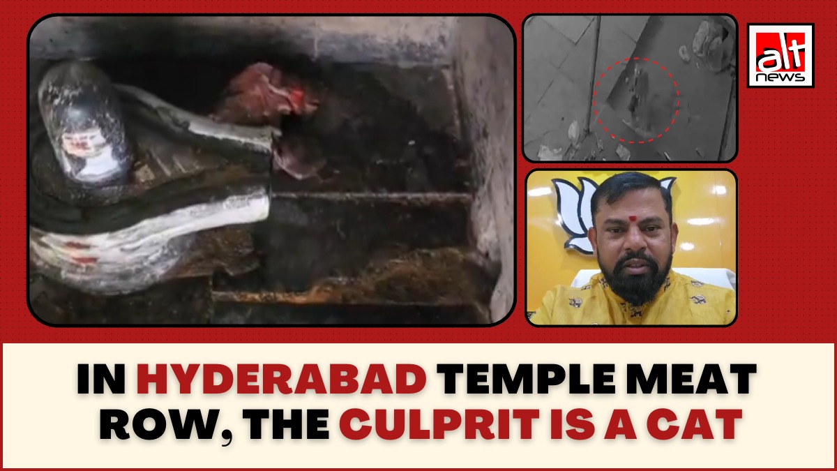 Tension was in the air after pieces of meat were found inside a temple in Hyderabad. Some believed this was a deliberate act, others dragged Congress and Owaisi into the issue. But a police probe revealed that the culprit was a cat.