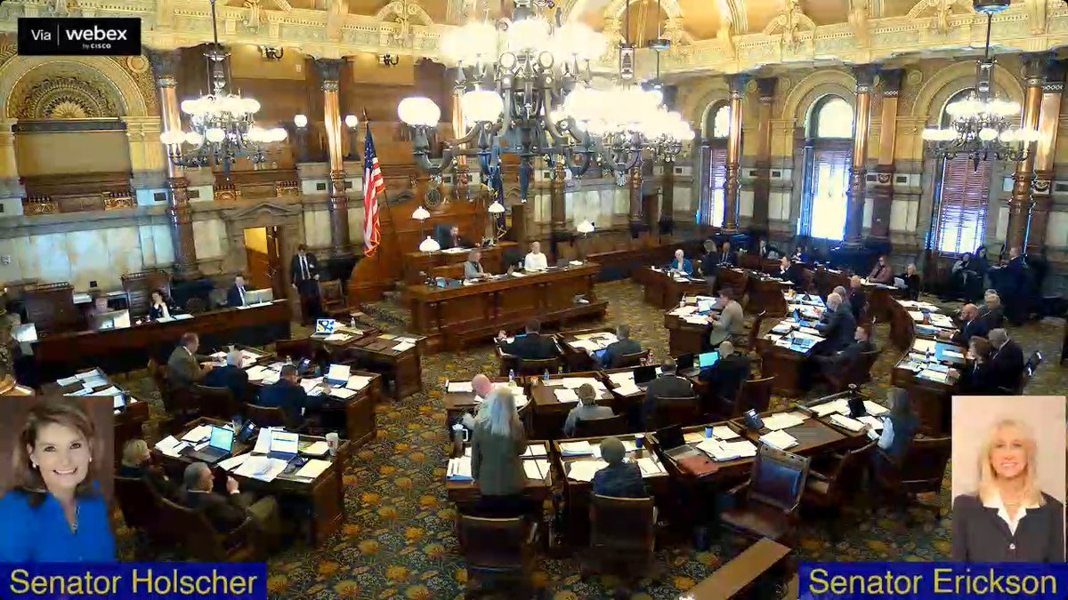 Debating a bill to ban SNAP funds from being used to purchase soda and candy, Kansas State Sen. Cindy Holscher (D-Overland Park) offers an amendment to put the same restrictions on state legislators paid via taxpayer dollars. Kansas State Sen. Renee Erickson (R-Wichita) takes offense: "It's a false argument!"