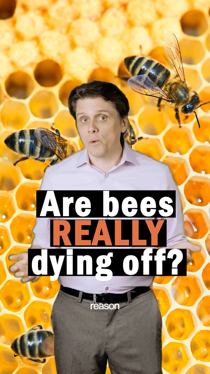Do you remember seeing headlines about bees disappearing? Reason’s Eric Boehm shares what really happened.