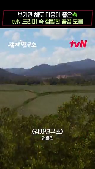 지치는 수요일을 힐링 시켜주는 것은? 청량한 풍경에 로맨스 한 스푼☘️❤️ <눈물의 여왕>, <우리들의 블루스>, <#감자연구소>의 청량 로맨스 보고 가세요 (◜o◝) 힐링 코믹 로맨스 <감자연구소> 3/1 [토] 밤 9:20 첫 방송 #ThePotatoLab #이선빈 #강태오 #이학주 #김가은 #tvN #스트리밍은TVING