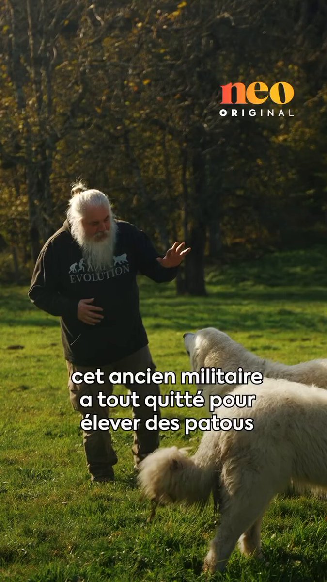 Si un jour il prend un stagiaire ou alternant, il sera le plus heureux du monde.
