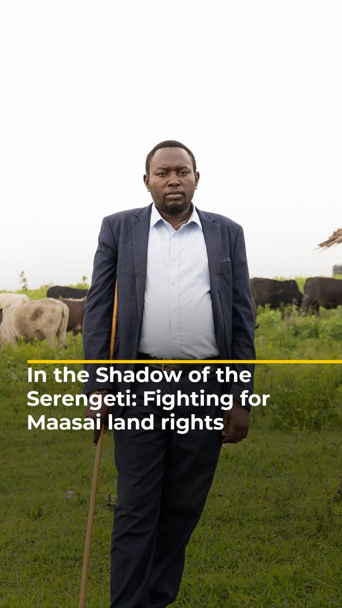 Meet the Maasai human rights lawyer fighting for the rights of his people as they face forced displacement from their ancestral land. This is @oleshangay’s story. Watch In the Shadow of the Serengeti by Benedict Moran: