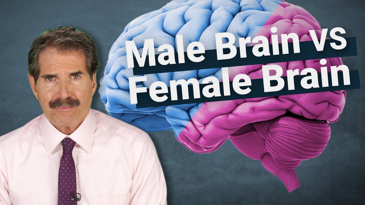 Those who say men and women's brains are different are often accused of sexism. But Diana S. Fleischman says: "saying that men and women have different aptitudes isn't sexism. It's actually a statement about the true nature of the world."