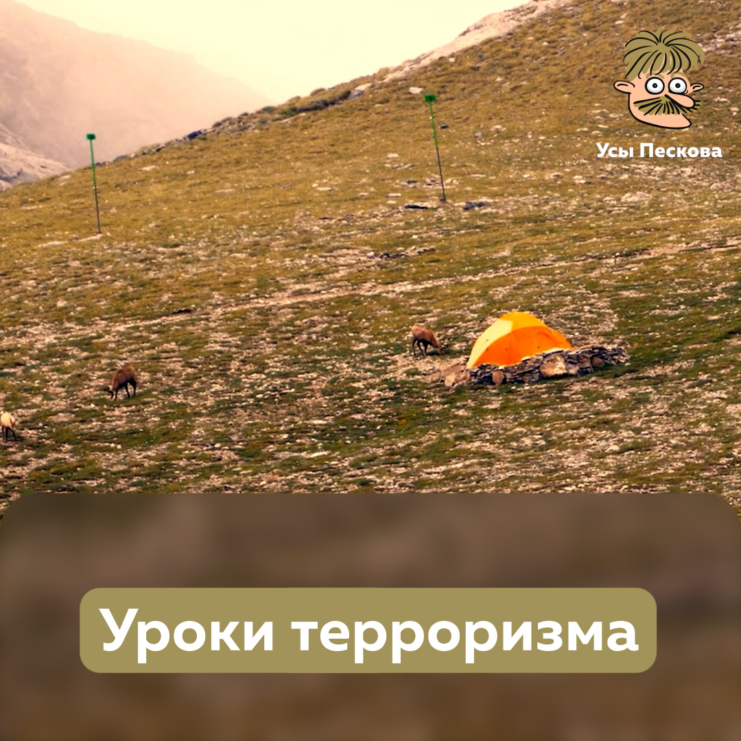 Краткий курс по организации экстремистской деятельности от особо-опасной и крайне заслуженной террористки РФ Лазаревой Т.