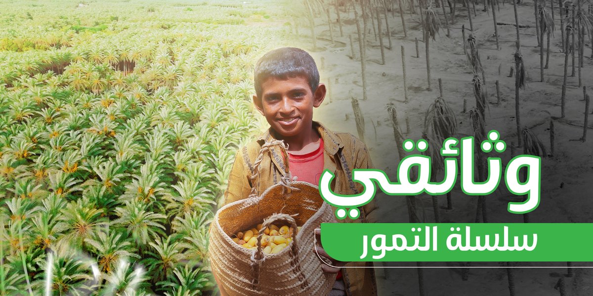 وثائقي | الطلع النضيد: رحلة التمور من الجذور إلى الأسواق اليمنية شاهد كيف تحولت هذه الثمرة الذهبية إلى كنز غذائي واقتصادي، وما هي أدوار شركاء التنمية في سلسلة القيمة لانتاجها محلياً والسعي إلى توطينها لتخفيض فاتورة الاستيراد. #مؤسسة_بنيان_التنموية #اليمن