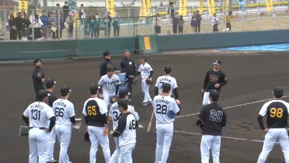 【具志川】 投内連携で次々にホームへグラブトスを決める投手陣! #hanshin #虎テレ #阪神タイガース 虎テレでは春季キャンプをライブ配信