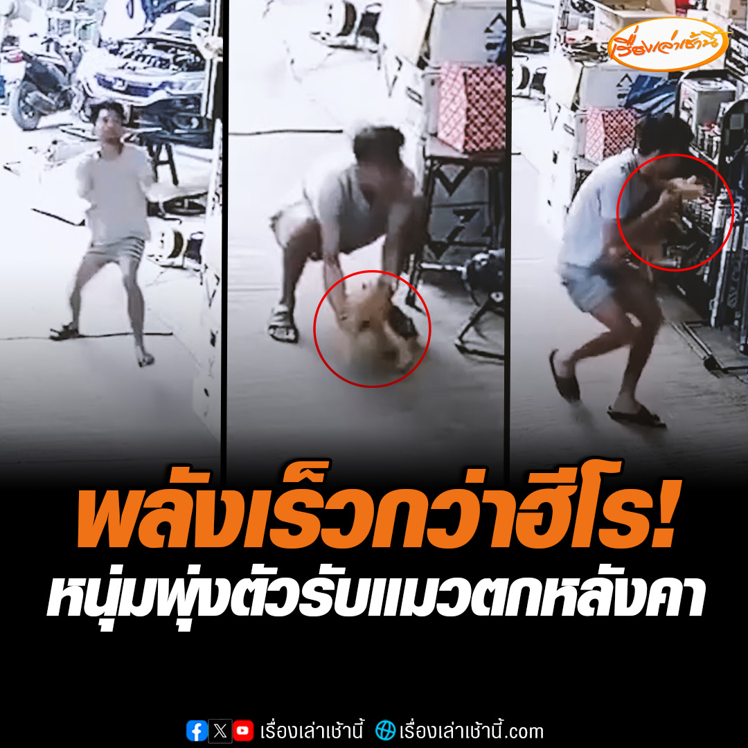 พลังแห่งทาส! หนุ่มเห็นแมวร่วงตกจากหลังคา ใช้พลังเร็วกว่าฮีโรพุ่งรับไว้ได้ทัน บอกกลัวแมวตกลงมาจะเป็นอันตราย เพราะยังเป็นแมวเด็ก #เรื่องเล่าเช้านี้ #ข่าวช่อง3 #ข่าวภูมิภาค #ชัยนาท #ทาสแมว