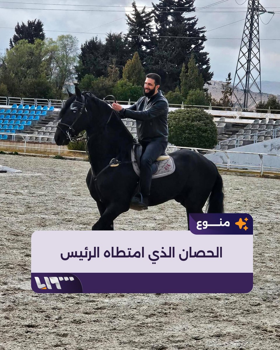 ظهر على متن حصان من سلالة نادرة فيديو متداول للرئيس السوري أحمد الشرع.. ما نوع الحصان الذي امتطاه؟ #تلفزيون_سوريا #نيو_ميديا_سوريا