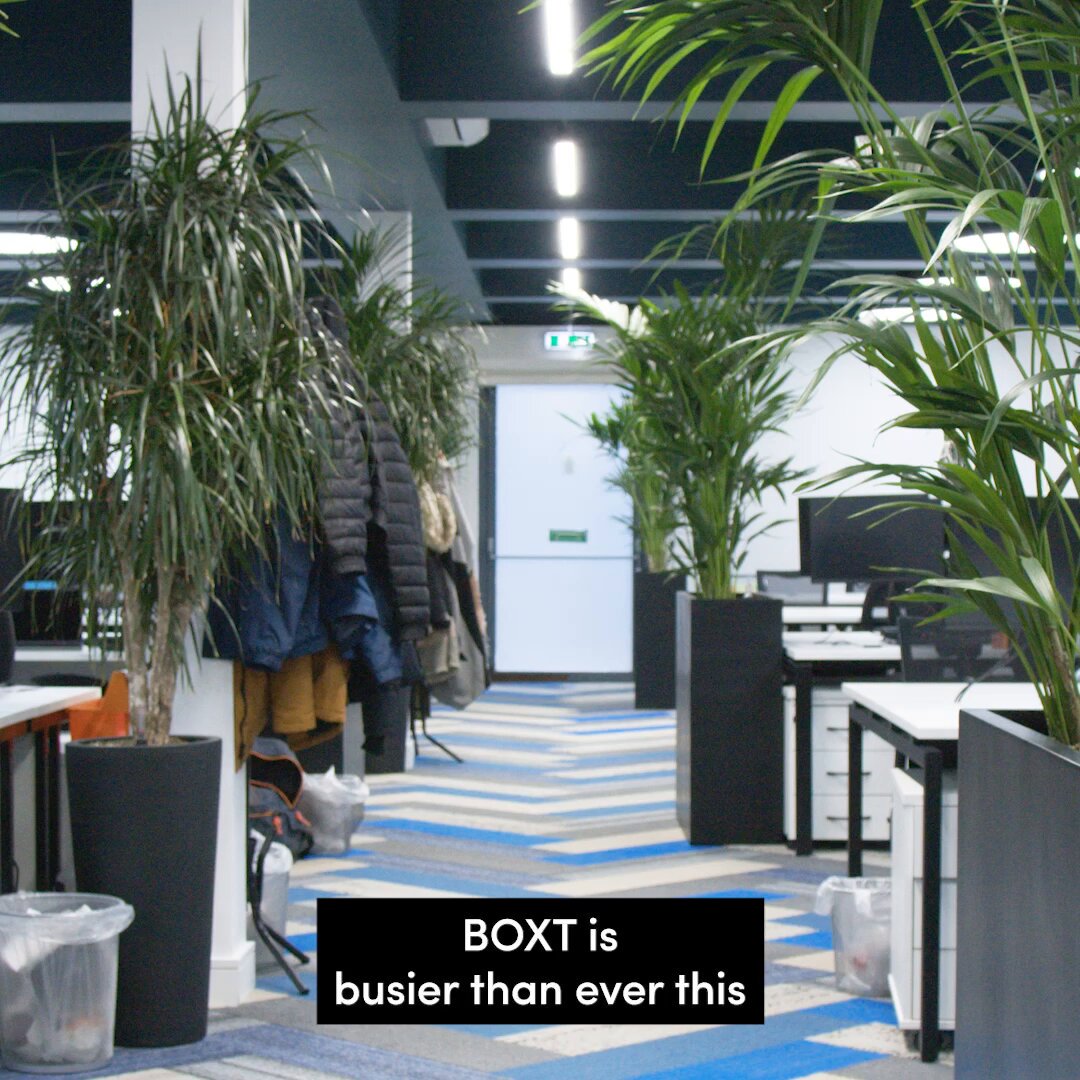 🔥 This winter, the BOXT team is working harder than ever, so they brought in some top talent to help. The only catch? They know football, not boilers!