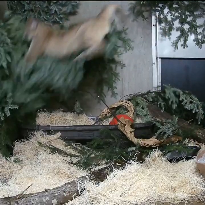 Just dropping by