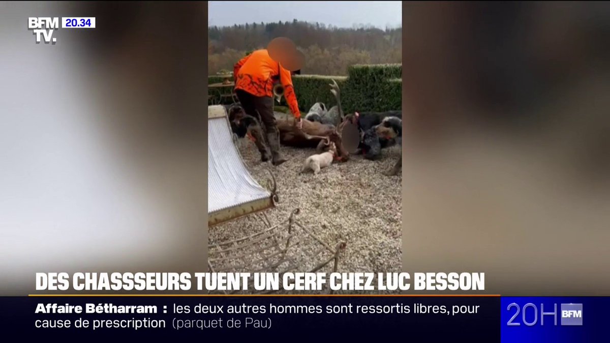 "Honte à eux": des chasseurs tuent un cerf dans le jardin de Luc Besson, le réalisateur réagit sur BFMTV
