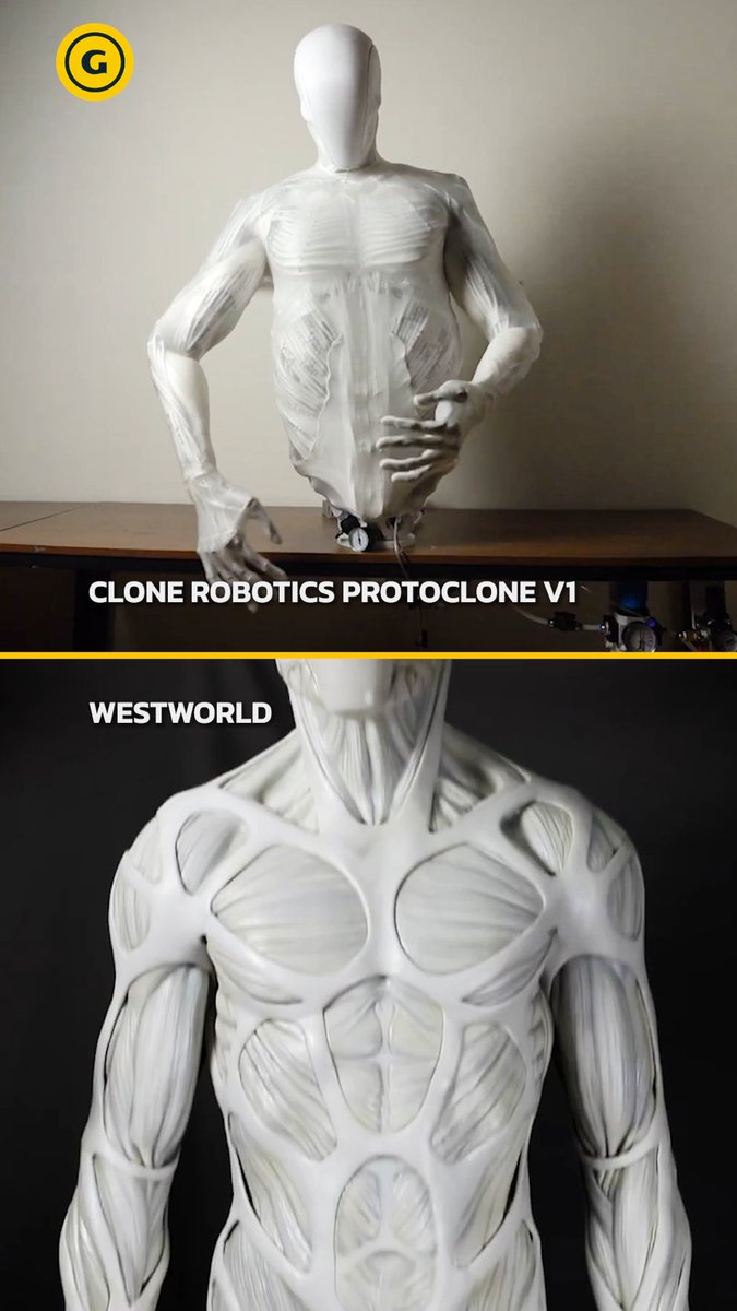 I think we've seen this film before 😬 #WestWorld #Robotics
