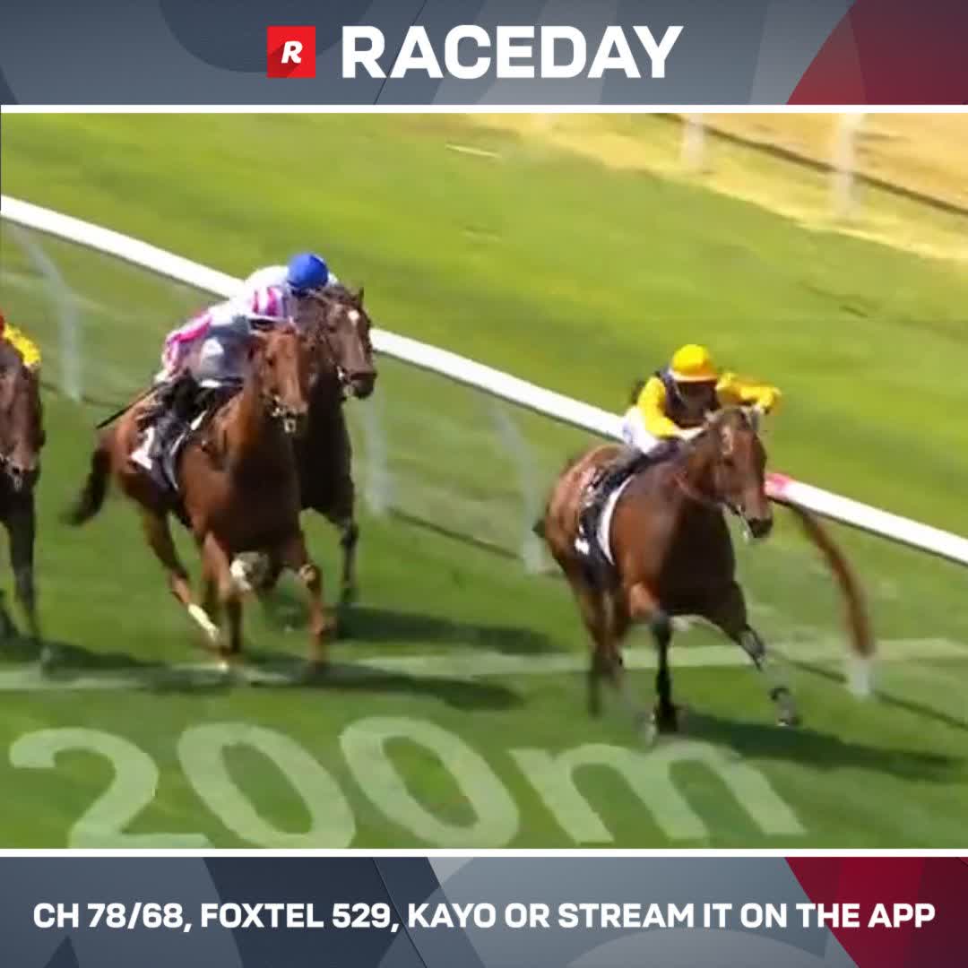Samangu's racing well &amp; she goes all the way in the opening race at Caulfield 🔥 Grahame Begg Racing Jordan Childs