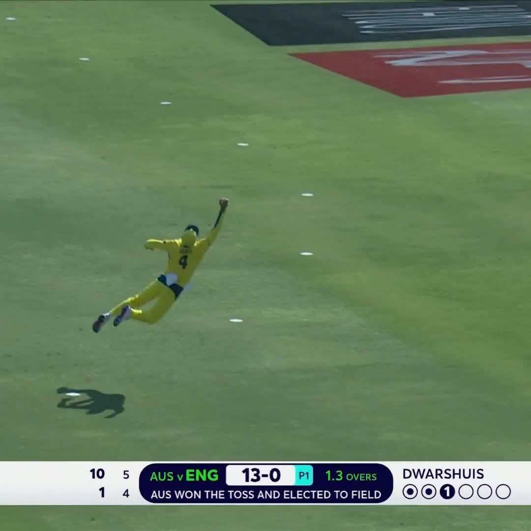 WHAT. A. CATCH 🤯 Alex Carey with a spectacular catch to dismiss Phil Salt 👏