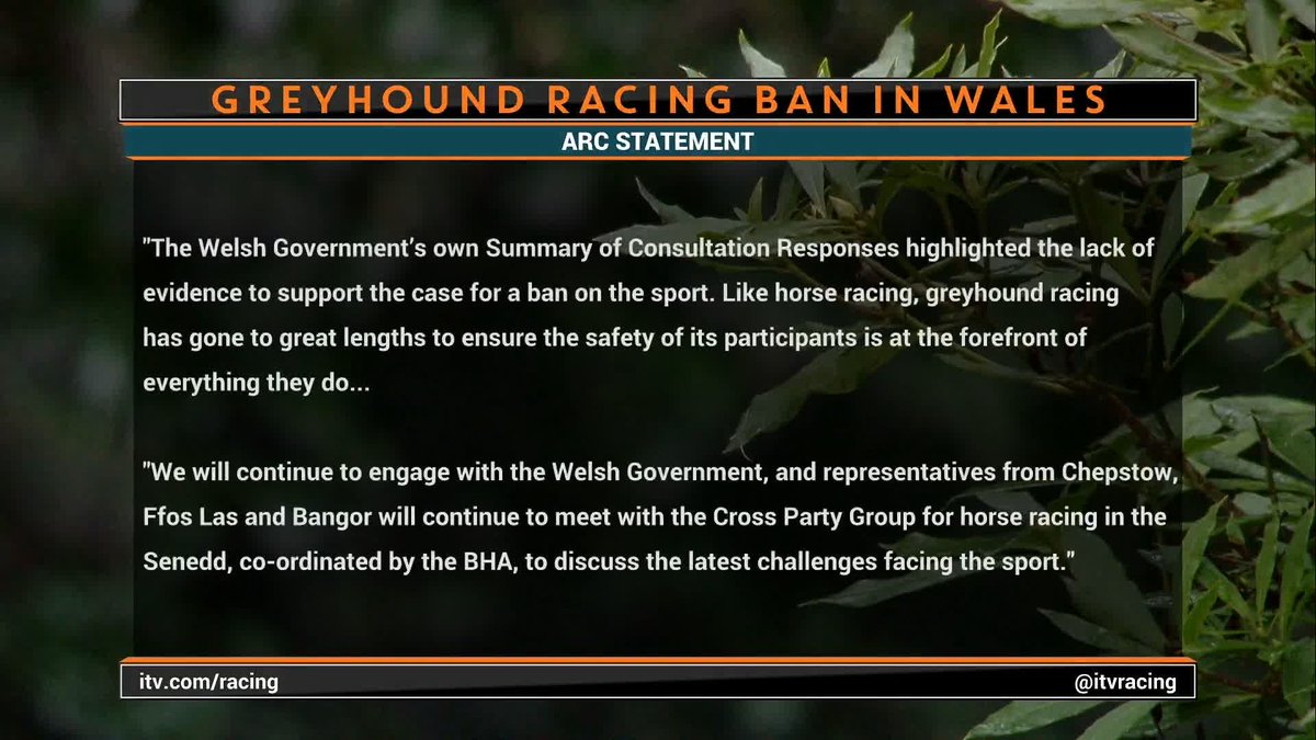 Greyhound racing banned in Wales ‼️ 🏴 Luke shares his thoughts 💭 #ITVRacing | Luke harvey