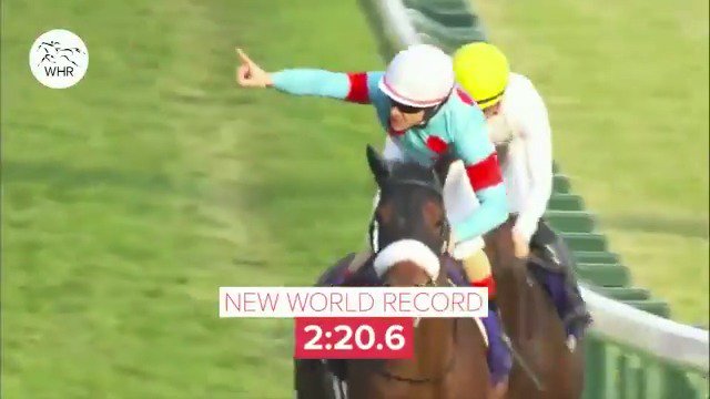 2018 Japan Cup (G1, 2400m) Almond Eye’s breathtaking world record (2400m) – 2:20.6