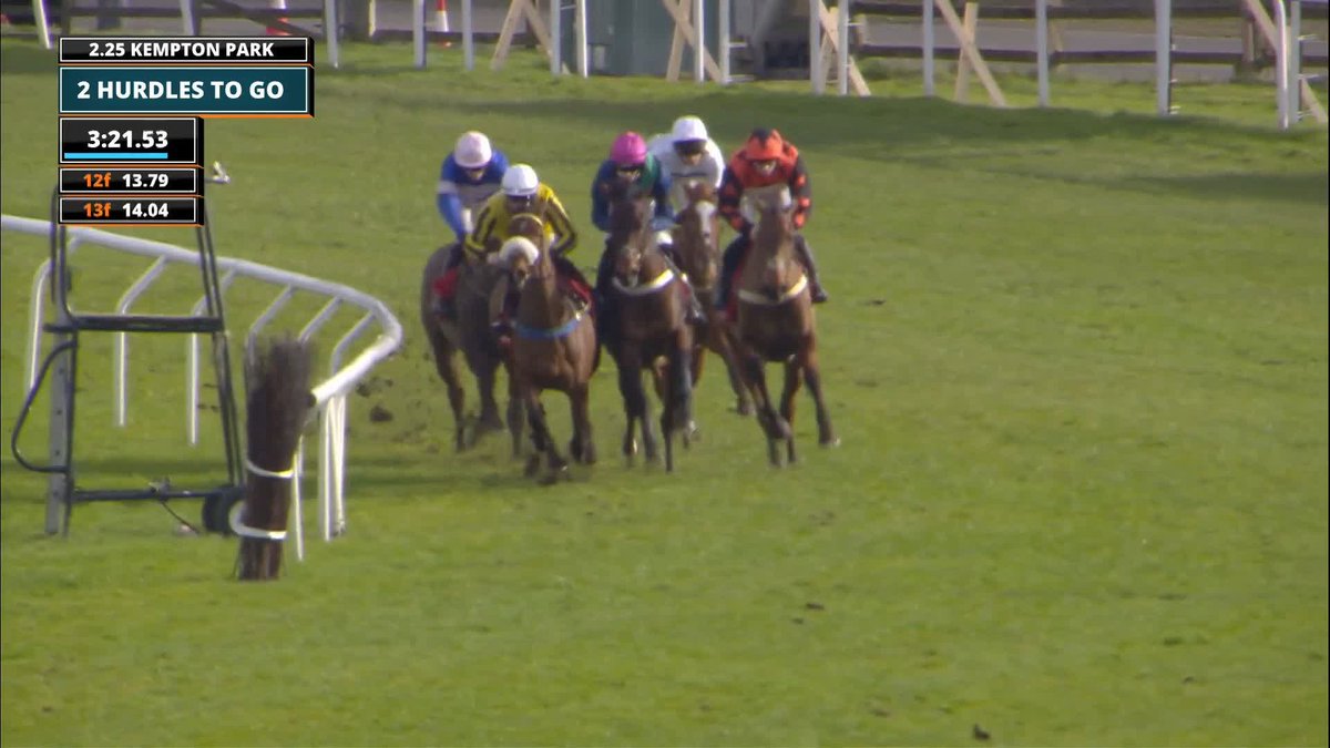 Mambonumberfive did that in style taking the win in the Ladbrokes Adonis Juvenile Hurdle 🕺 Ben Jones 🤝 Ben Pauling Racing #ITVRacing | Kempton Park Racecourse
