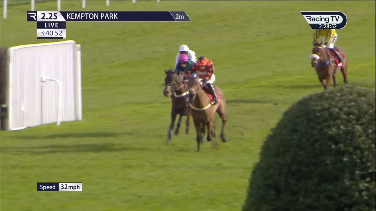 🏆 Mambonumberfive a €450,000 buy from France wins the G2 Adonis Hurdle. He was pulled up behind EAST INDIA DOCK on British debut at Cheltenham. Mondo Man the €520,000 purchase wrecked his chance by pulling like a train throughout the race! 🤯🤯🤯