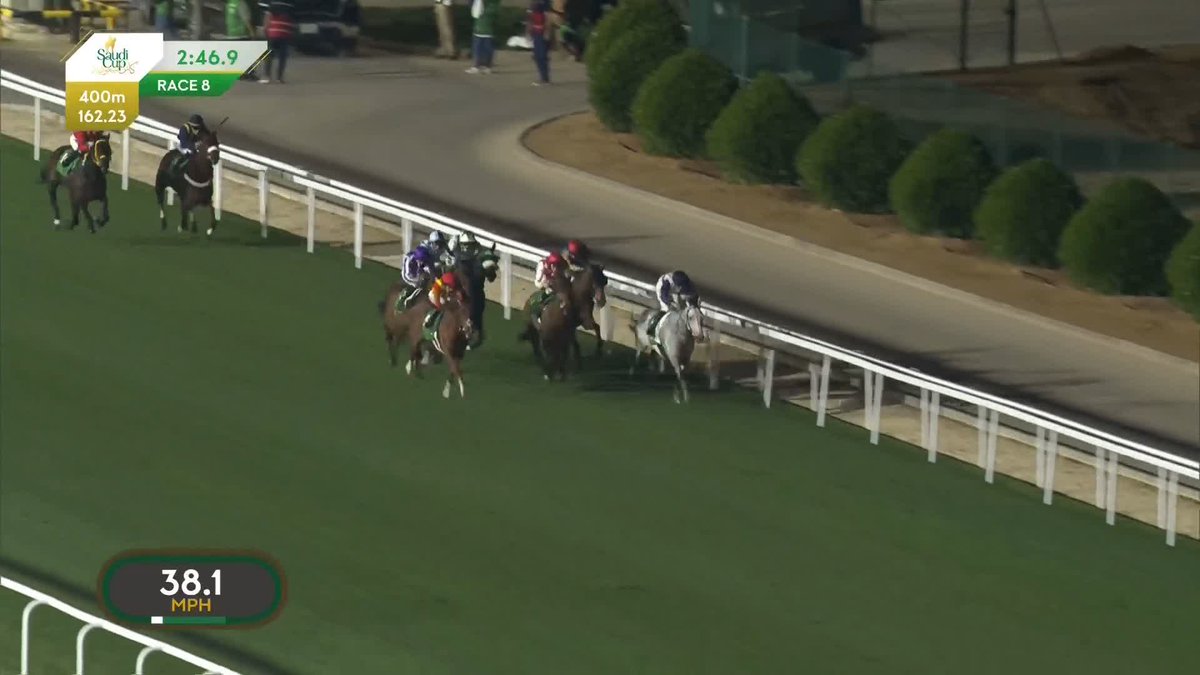 🇯🇵 サウジで日本馬3連勝!ビザンチンドリームが一刀両断! 🇸🇦 芝3000mの長距離戦、G2・レッドシーターフハンデキャップ。エピファネイア産駒のビザンチンドリームが豪快に突き抜けて重賞2勝目。 🇮🇪🇯🇵 ハーツクライ産駒の日本産馬、コンティニュアスは3着。 #競馬 #海外競馬