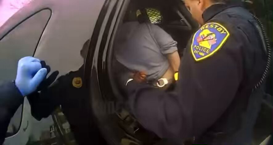Wild content Concluding part. It is completely unacceptable that her felony charge was dropped. A person in that state of mind has no business holding a driver license, either.