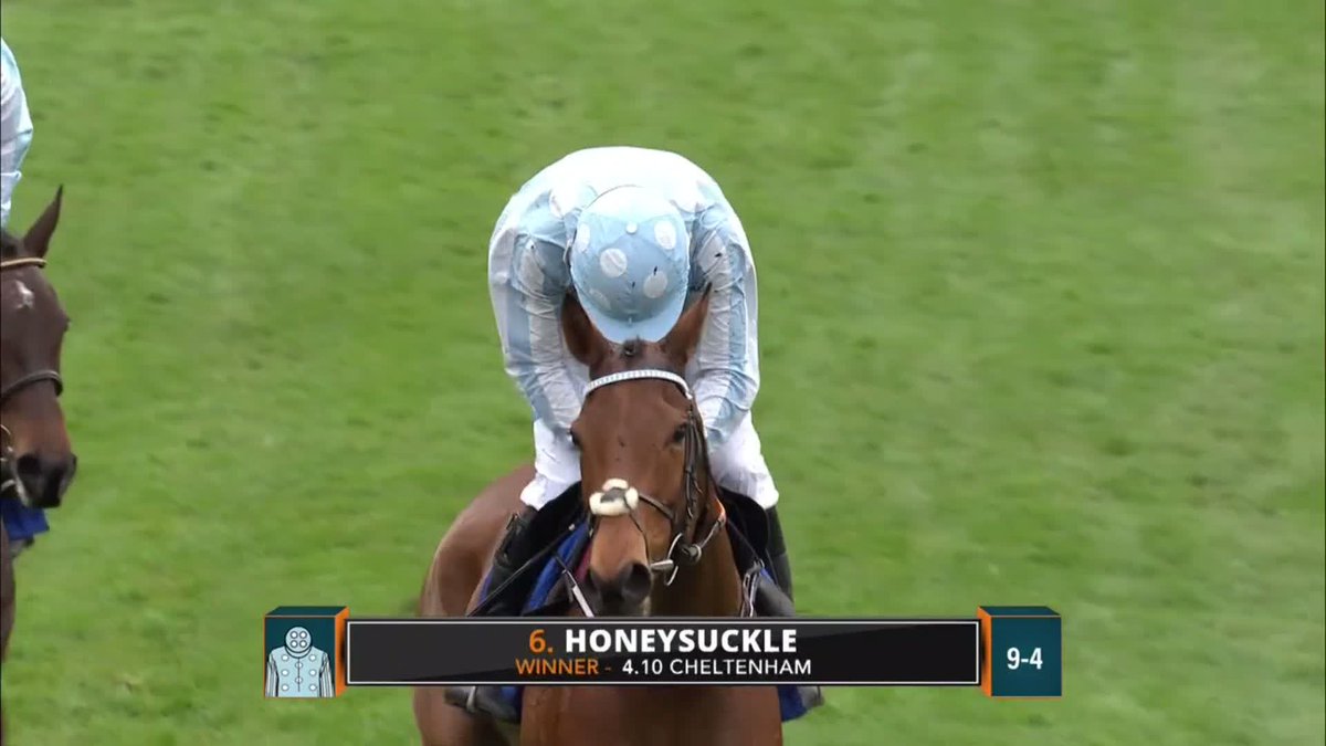 The start of a beautiful journey.💙 Honeysuckle beating Benie Des Dieux in the Mares Hurdle was the start of four successive Cheltenham Festival wins! 🏆🏆🏆🏆 She really was the racehorse of a lifetime.