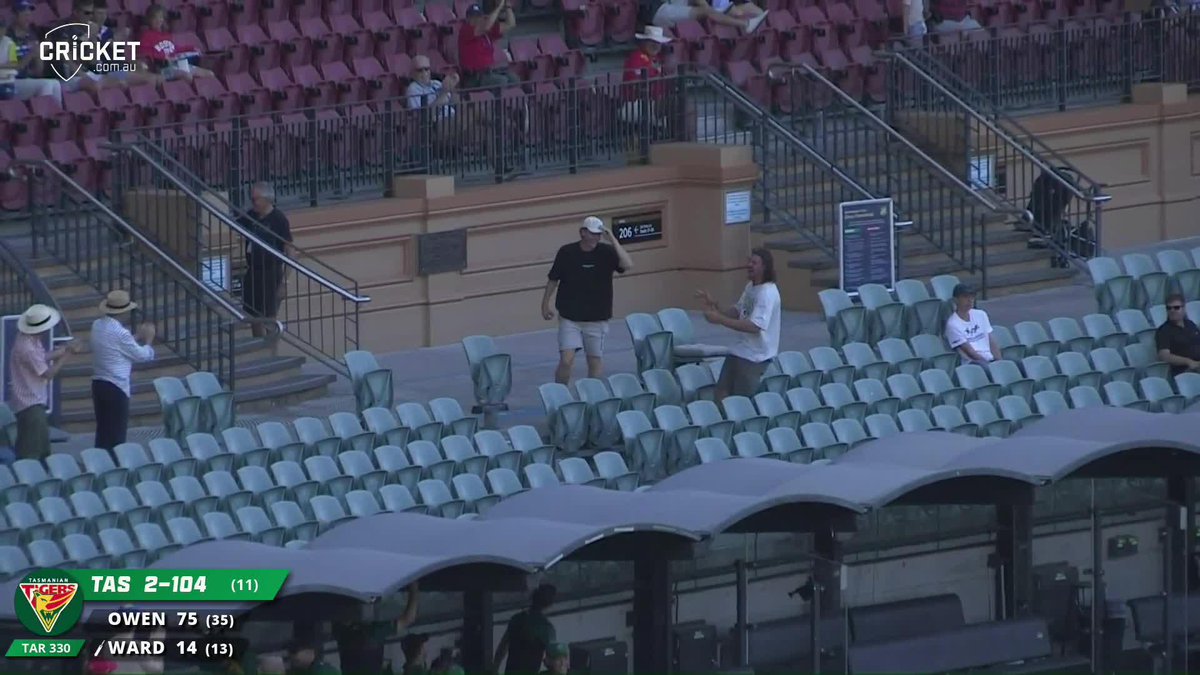 A triple-header of #OneDayCup action today but this guy upstaged everyone with catch of the day in the SACA members 👏