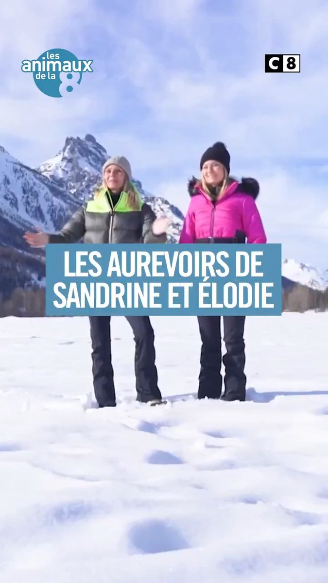Clap de fin pour #LesAnimauxdeLa8 : le message très touchant de SandrineArcizet et ElodieAgeron ❤️ Merci à tous pour votre fidélité durant toutes ces années ❤️