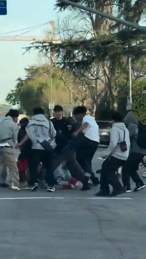 Think you can just walk down the street in a democrat run city like Los Angeles and not be beaten, possibly killed, by a mostly peaceful mob? Think again... #CityLife #LosAngeles #democrats #crime #FailedState #urban #decay #enrichment