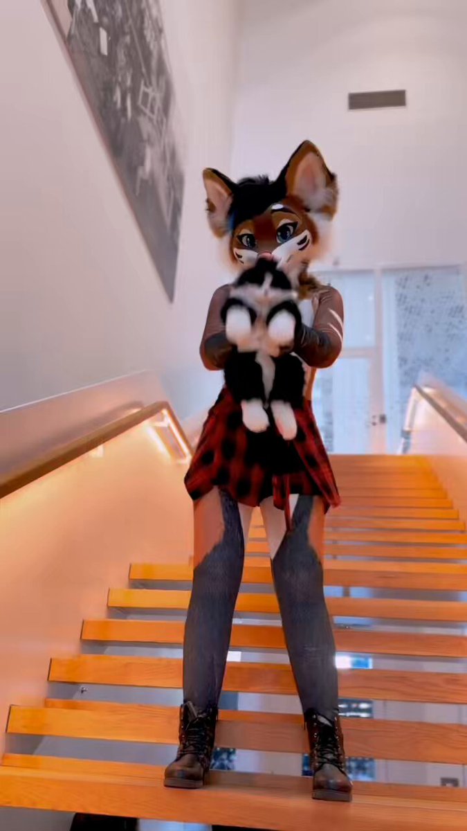 Do you like cats? 🖤🐾