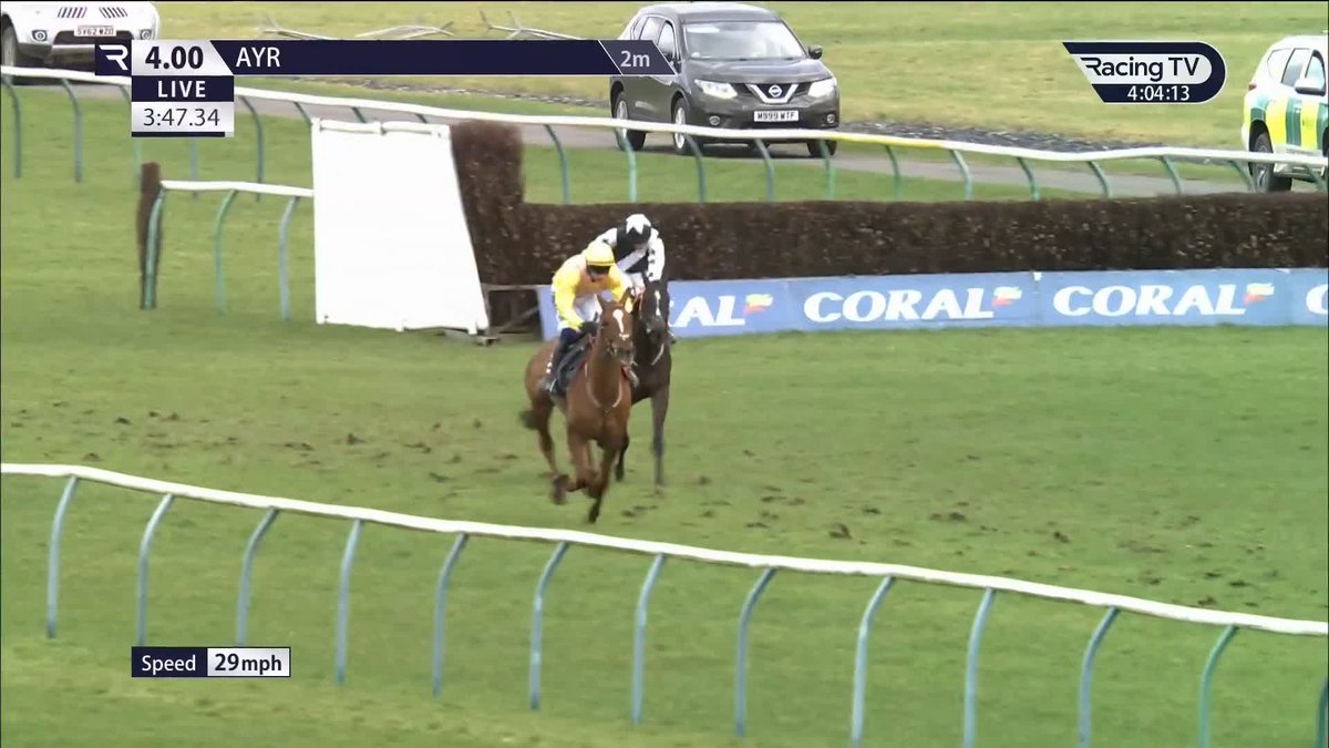 Odds-on fav sunk 👀 Serious Challenge takes down 30-100F Bowensonfire in the novices' hurdle Ayr Racecourse. The winner, rated 102 on the Flat, is turning into quite a useful operator in this sphere. Fergal O'Brien Racing