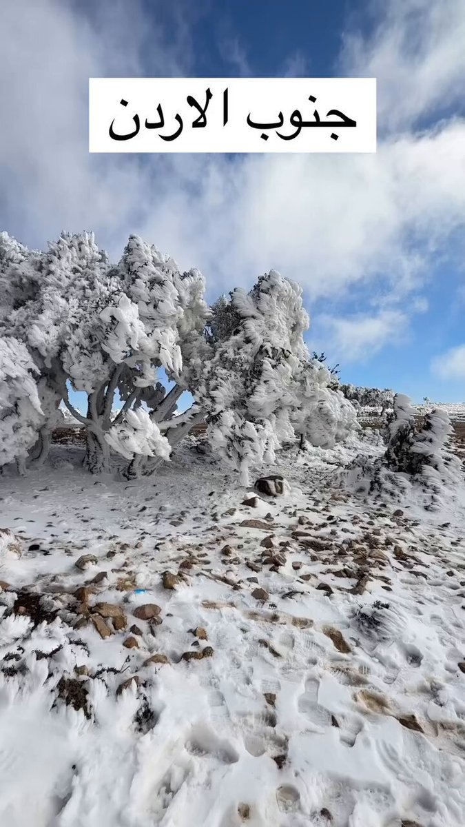 جنوب الأردن 🌨️