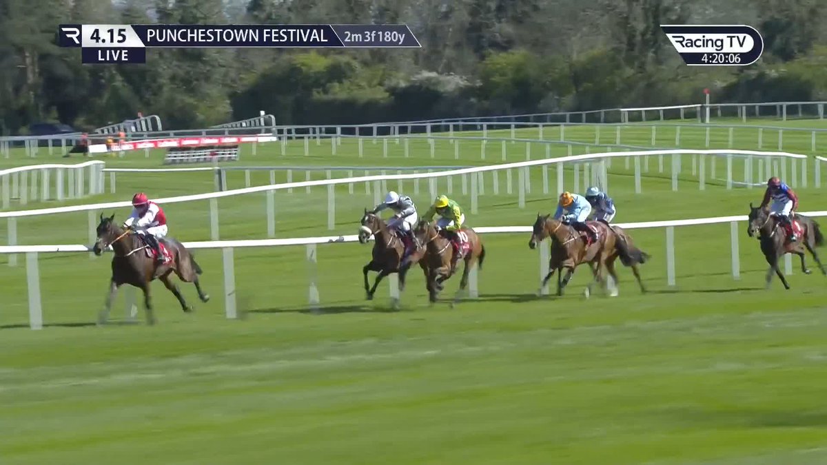 Give me a rogue Cheltenham shout🎙️ Sandor Clegane 33/1 - Coral Cup for me Fine festival form and he’s been banging on the door this season Step back in trip to a strongly run 2m5f could suit &amp; help his finishing effort Nice profile for the race👀