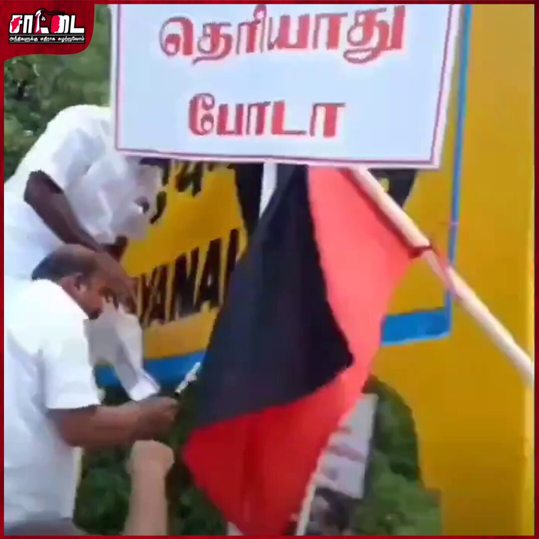 தனி உலகத்தில் வாழும் உடன்பிறப்புகள் !