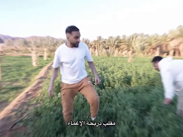 افضل لقطة بلا منازع يستاهل الأوسكار