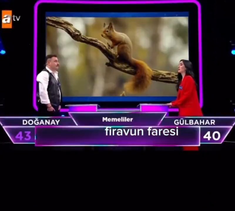 her izlediğimde hönkürüyorum ahashhds