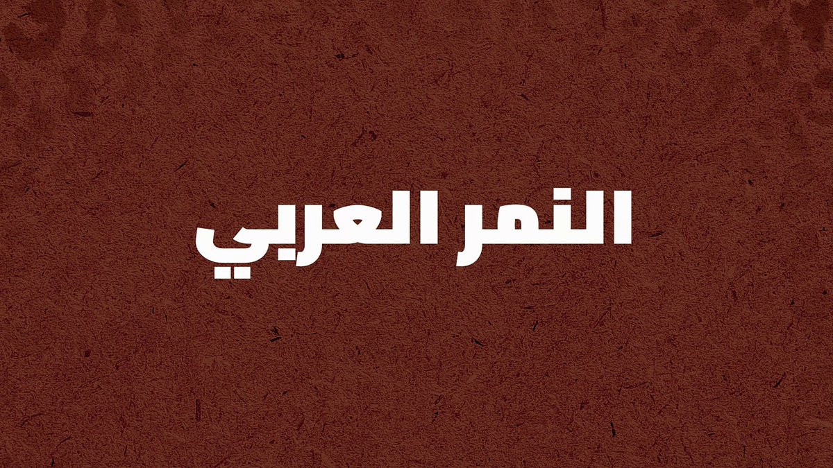 يقدِّم صندوق #النمر_العربي للعلماء والباحثين وخبراء الحفاظ على الطبيعة، مِنحًا تصل قيمتها الإجمالية إلى مليون ريال، لدعم أبحاث ومشاريع حماية النمر العربي. تقدَّم بطلب الحصول على واحدة من هذه المِنج، وشاركنا الأمل (cont)