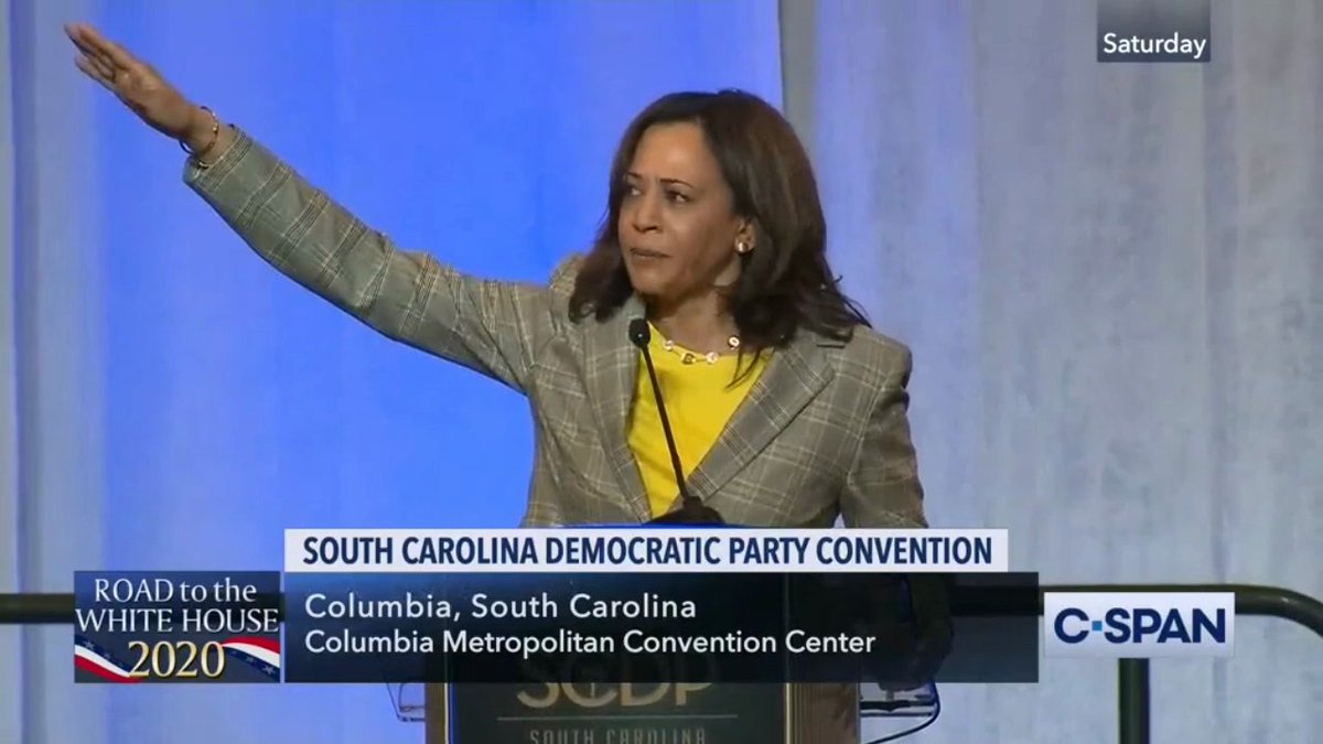 Here is a video of Kamala Harris *not* doing a Nazi salute: