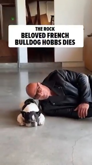 #TheRock is mourning the loss of his beloved French Bulldog, Hobbs 💔 See his full tribute post: #RIP