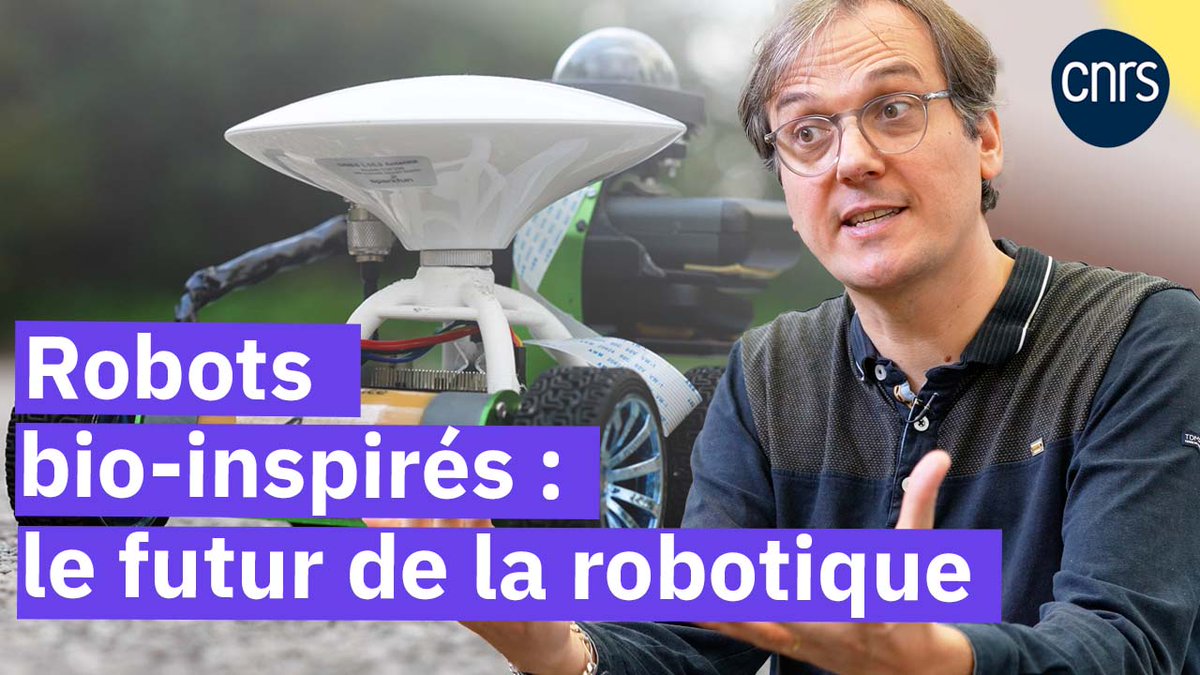 Fourmis, mouches, oiseaux… Et si la clé de l’innovation se trouvait dans le monde vivant ? Au CNRS, des chercheurs s’inspirent du règne animal pour concevoir des robots incroyablement efficaces !