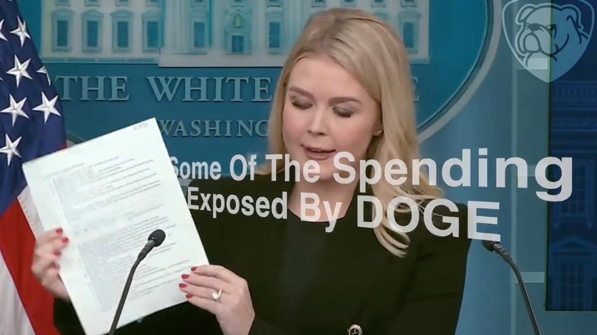 DOGE has uncovered massive amounts of wasteful US spending across the world. Here are some of the most insane things your tax dollars were funding.
