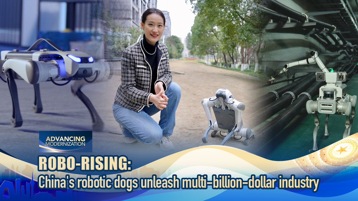 Robo-rising: China's robotic "dogs" unleash multi-billion-dollar industry