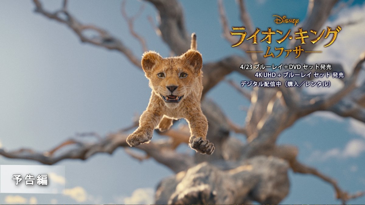 ⋱📀4/23発売決定📀⋰ 実写を超えた＼超実写版／ 『#ライオンキングムファサ』 🌿ブルーレイ＋DVD セット 🌿4K UHD＋ブルーレイ セット 『#ライオンキング』はじまりの物語を 心ゆさぶる楽曲にのせて♪ 充実のボーナス・コンテンツも収録‼ まさに＜キング・オブ・エンターテイメント＞🦁