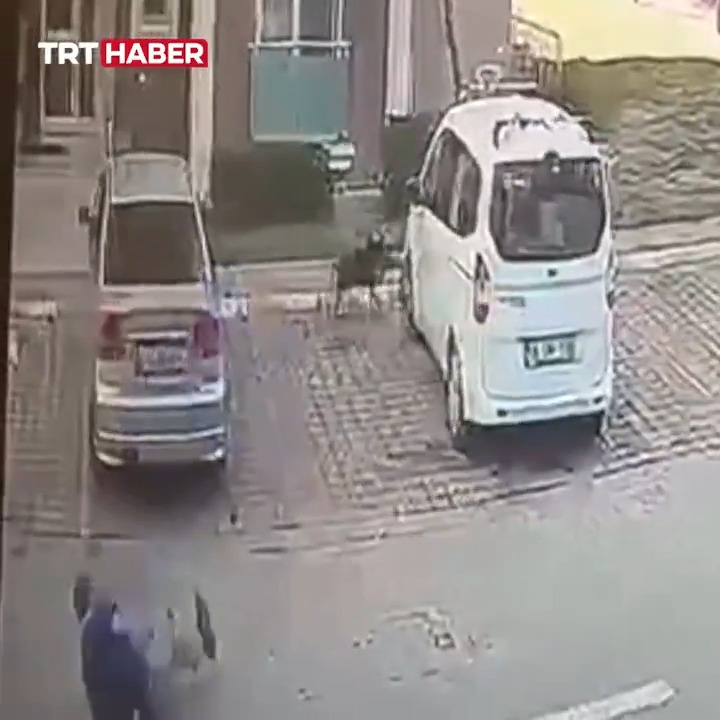 Silivri’de başıboş sokak köpeğinin saldırısıyla yaralanan imam, İBB ve Silivri Belediyesi'ne açtığı davada 20 bin lira manevi tazminat kazandı. 📌"Davayı para için açmadım. İnsanlar herhangi bir köpek saldırısında haklarını arasın, mahkemelere başvursun"