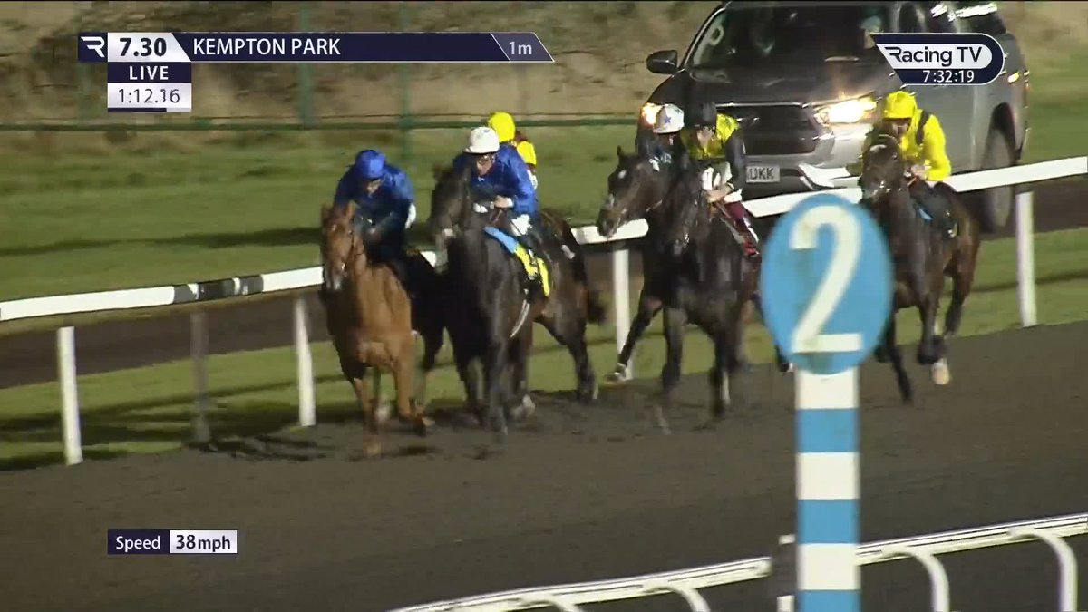 🔵 Opera Ballo - all class in the "European Road To The Kentucky Derby" Conditions Stakes for team Godolphin 🏇 Two runs 🥇 Two wins 🚀 Smart prospect