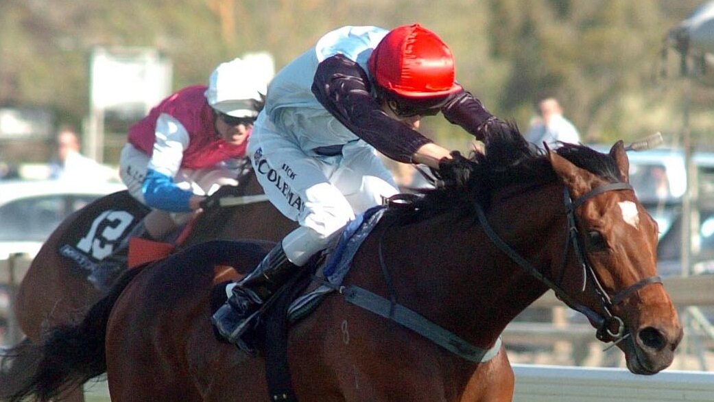 Mike Moroney had plenty of great horses but Xcellent remains a personal favourite. The Mudgway win… 💨