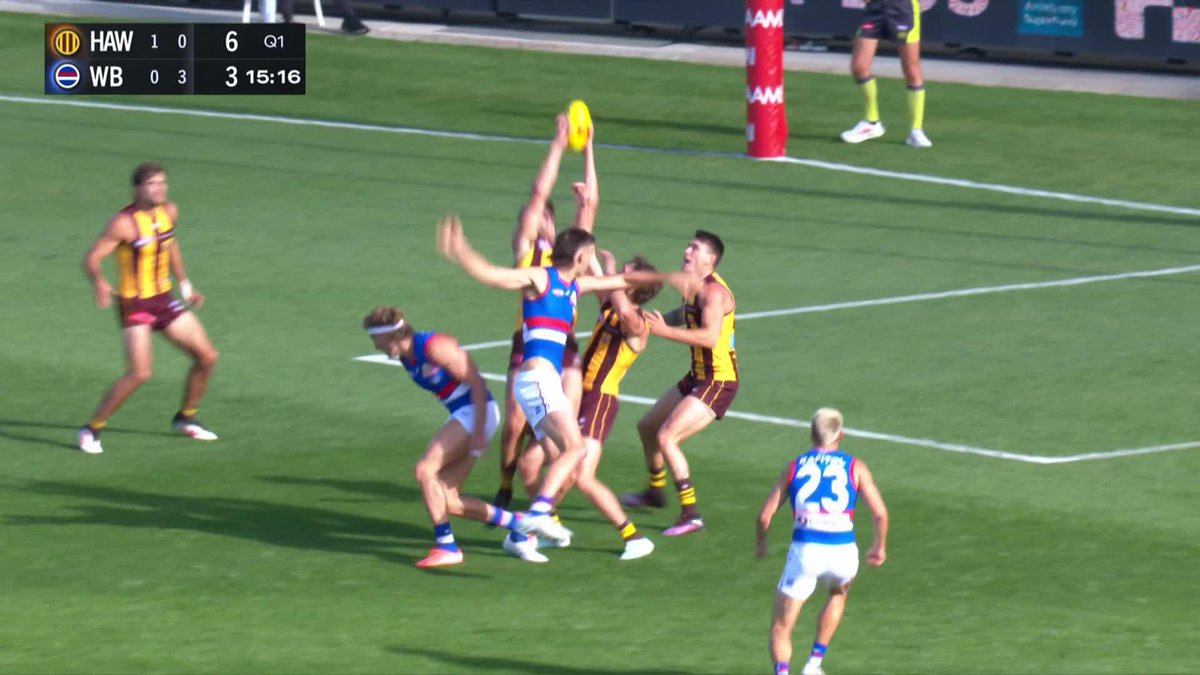 Hawks fans, this is what Tom Barrass can do 🙌 #AFLHawksDogs