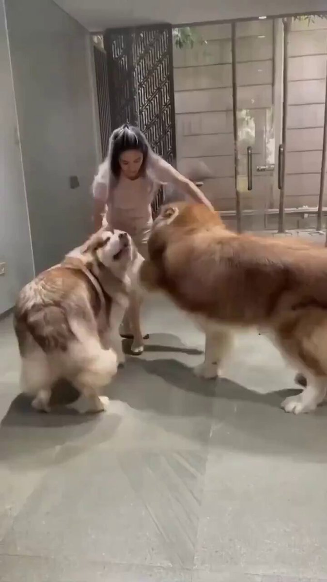 delightful moment!