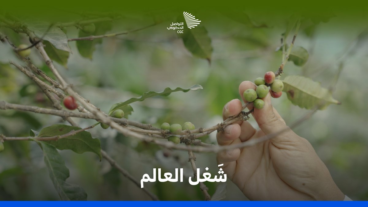 منحها الحب فبادلته بسحرها، مدها بالاهتمام فردت له أضعافًا من ثمرها، عن البن وتفاصيله حكاية يرويها أحمد المالكي. #التواصل_الحكومي